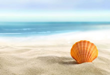 下半场反客为主，取胜利——从追随者到主宰者的逆转攻略