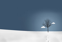 篮网大胜尼克斯，欧文分领衔