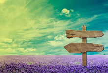 劲敌对阵！谁能笑到最后取得胜利？