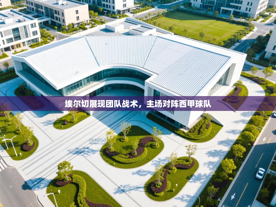 埃尔切展现团队战术,主场对阵西甲球队 第2张